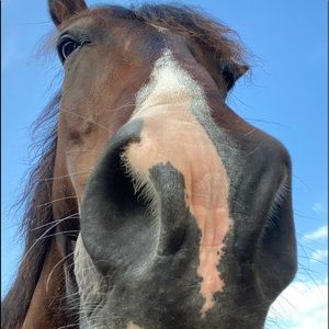 Meet your Posher, Whitney